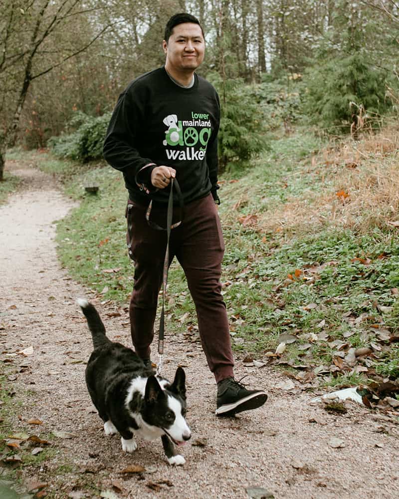 private dog walking