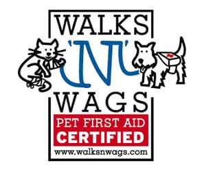 wags-n-walks-training-lmdw
